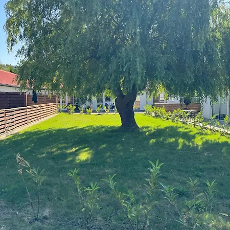 Boto 7 Bøtø By