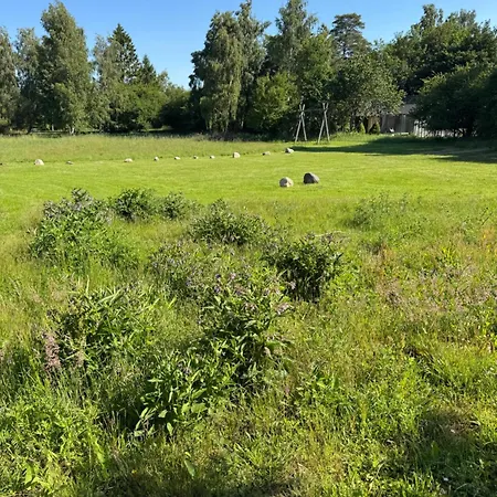 Boto 7 * Bøtø By